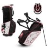 Team Effort Disney Caddie Carry Golf Stand Bag 14-Way
